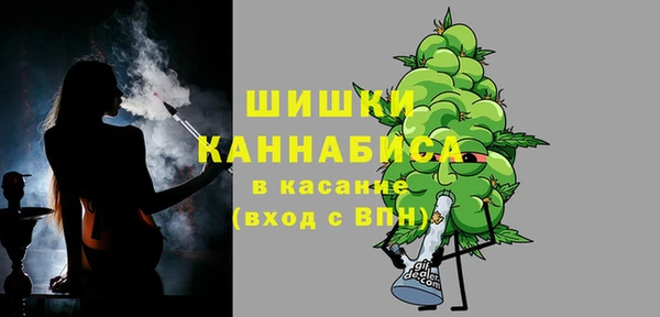 сатива Семикаракорск
