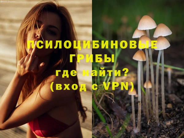 индика Семилуки