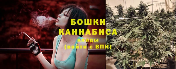 сатива Семикаракорск