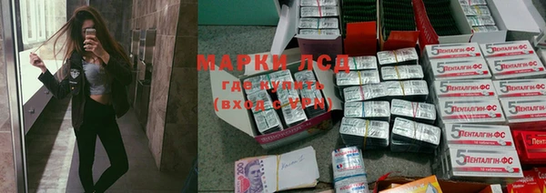 индика Семилуки