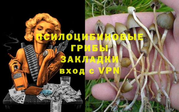 спиды Володарск