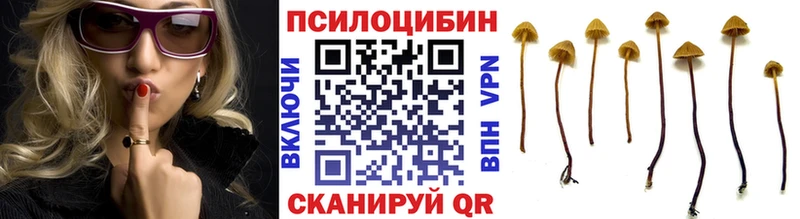 закладки  Пласт  Псилоцибиновые грибы ЛСД 